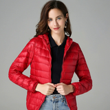 Leonor - Chaqueta de Primavera y Otoño