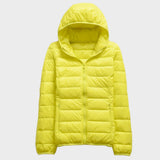 Beatriz - Chaqueta de Primavera y Otoño